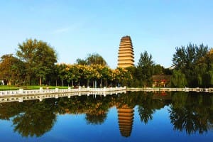 small-goose-pagoda4